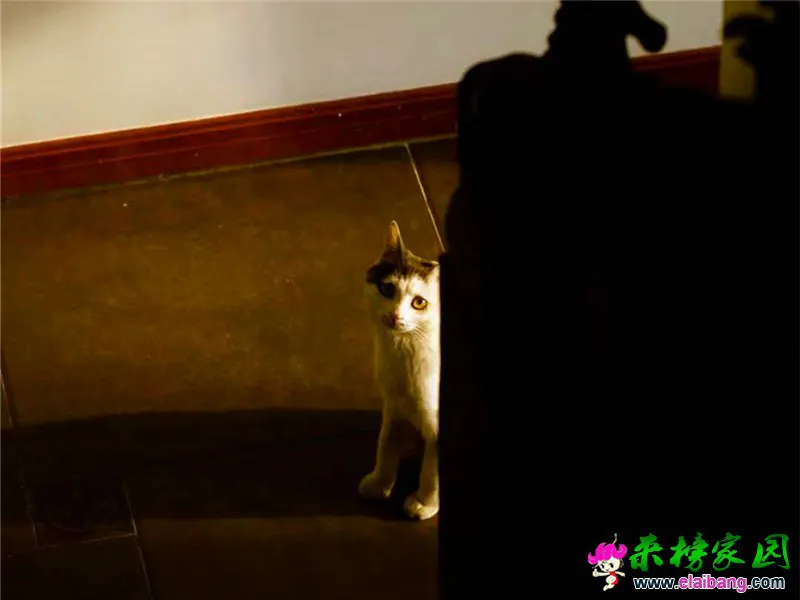 微信图片_20200821204408.webp