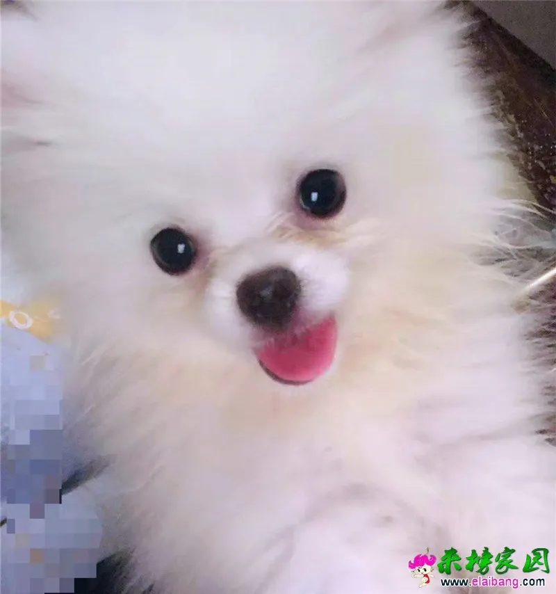 微信图片_20200821204400.webp