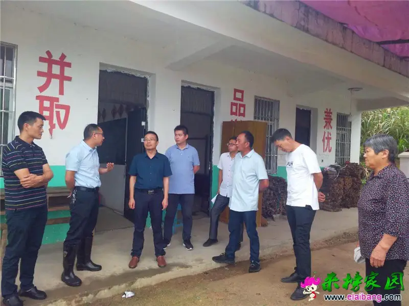 微信图片_20200825210230.webp