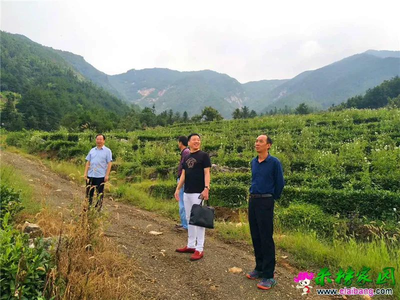 微信图片_20200826172218.webp