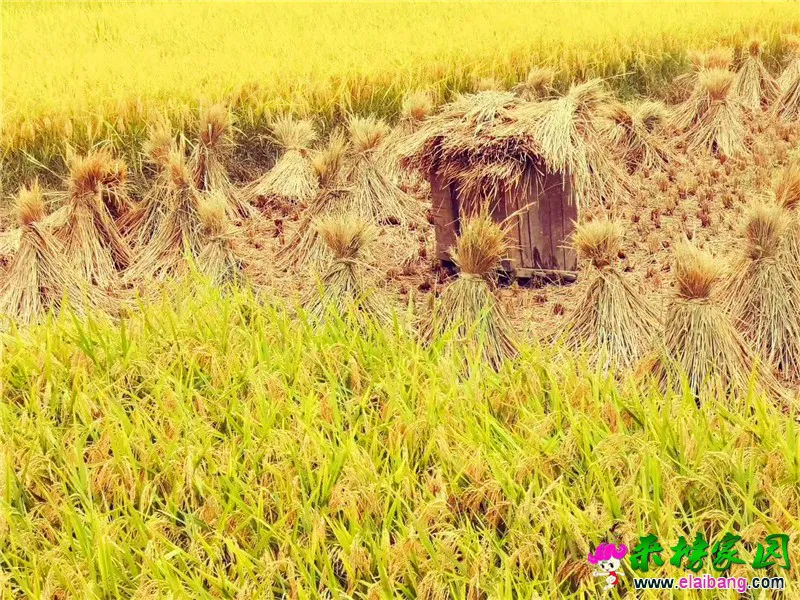 微信图片_20200827201828.webp