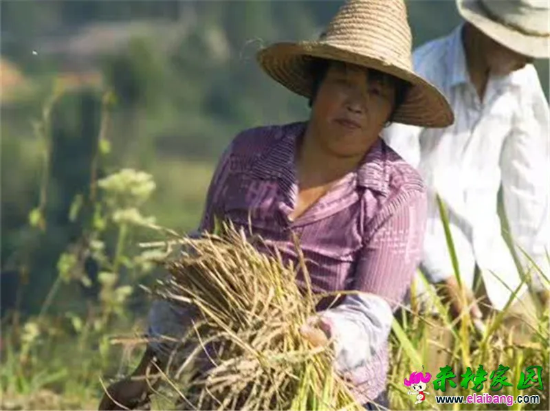 微信图片_20200827201836.webp