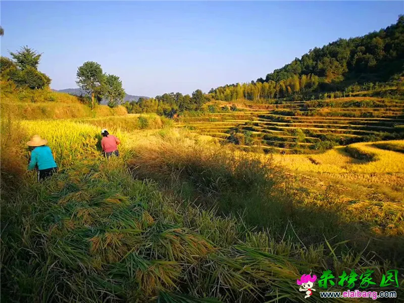 微信图片_20200827201833.webp