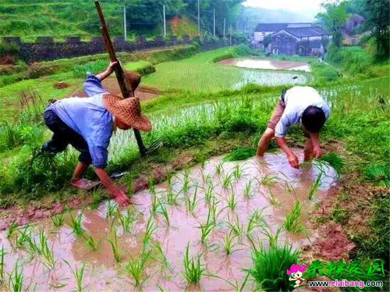 微信图片_20200827201841.webp