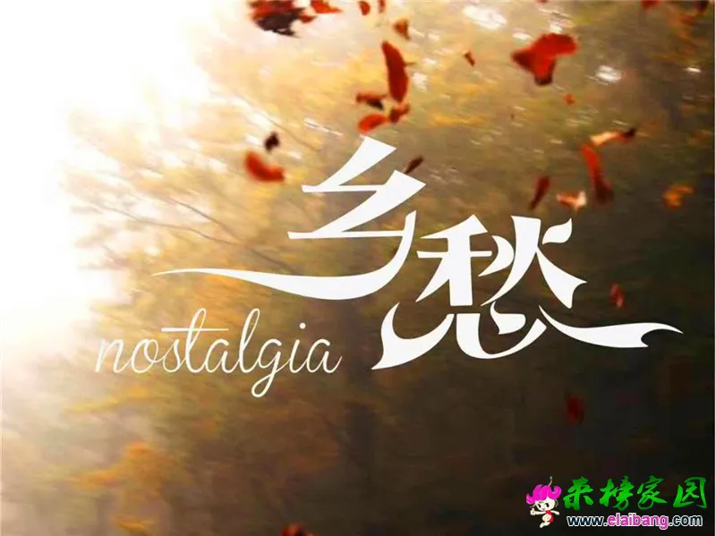 微信图片_20200827201847.webp