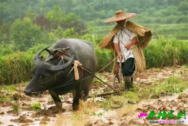微信图片_20200827201844.webp