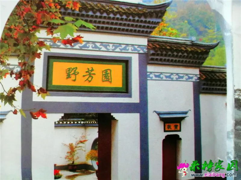 微信图片_20200828181617.webp