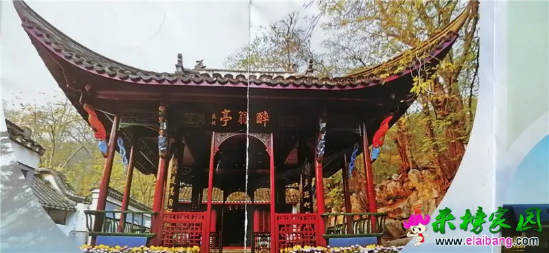 微信图片_20200828181625.webp