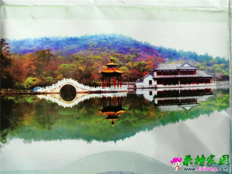 微信图片_20200828181610.webp