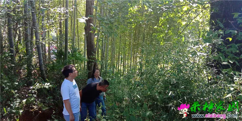 微信图片_20200828182303.webp