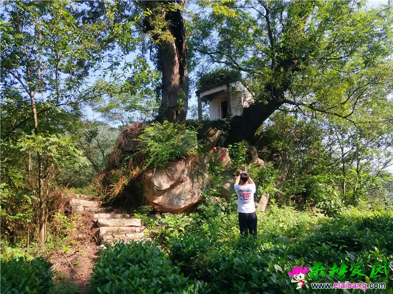 微信图片_20200831171147_副本.webp
