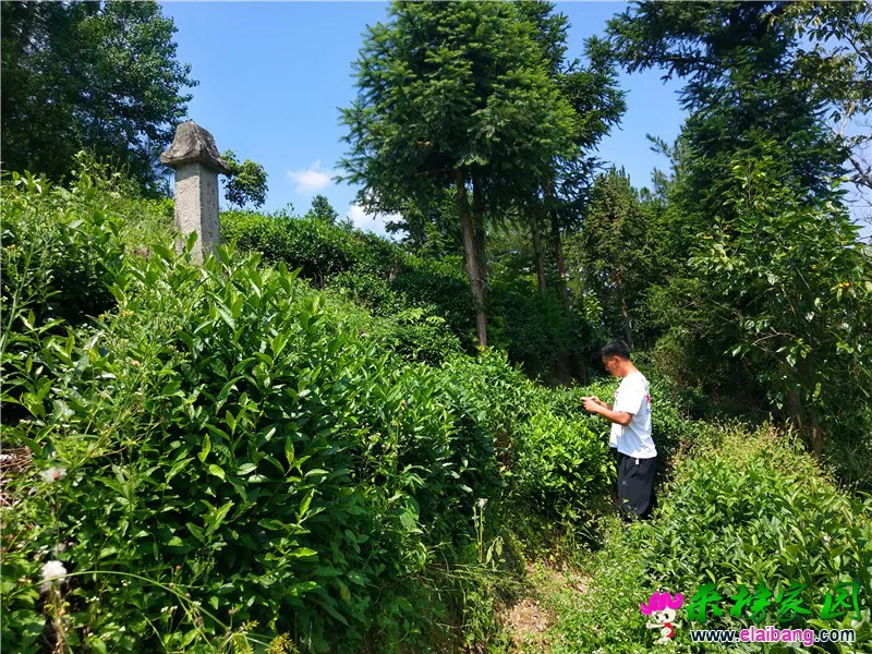 微信图片_20200831171211_副本.webp