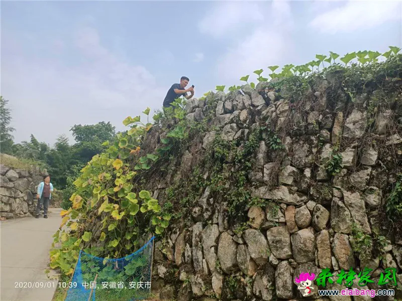 微信图片_20200901200900.webp