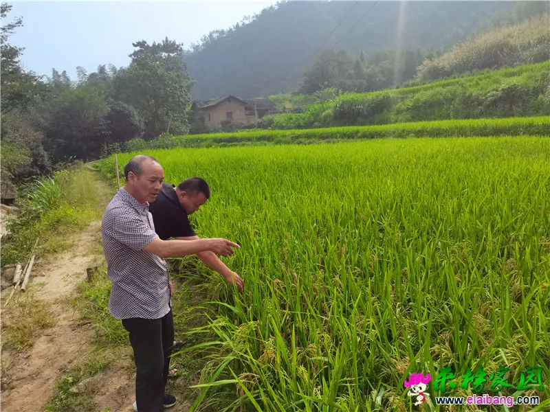 微信图片_20200901200844.webp