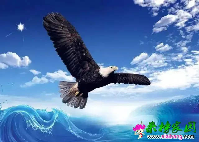 b560d15b08be4584eeefeb7e5c08dbe8.webp