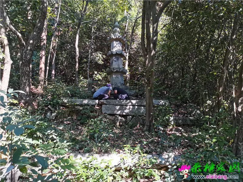微信图片_20200903174347.webp