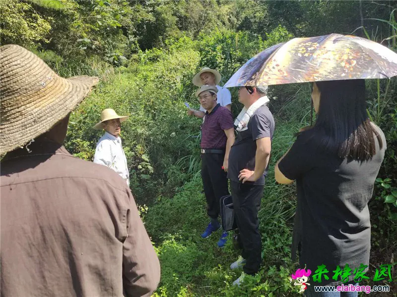 微信图片_20200903174351.webp