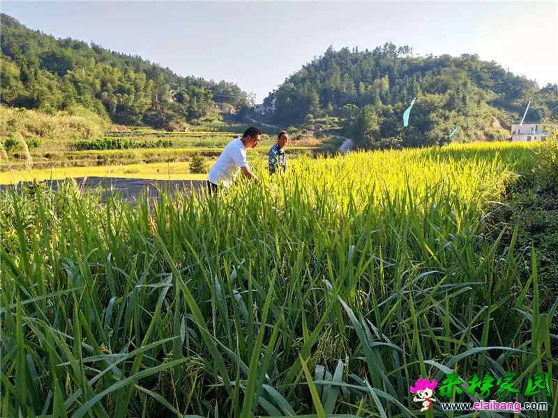 微信图片_20200907162040.webp