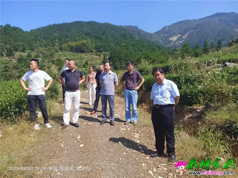 微信图片_20200907162111.webp
