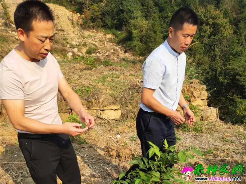 微信图片_20200908214635.webp