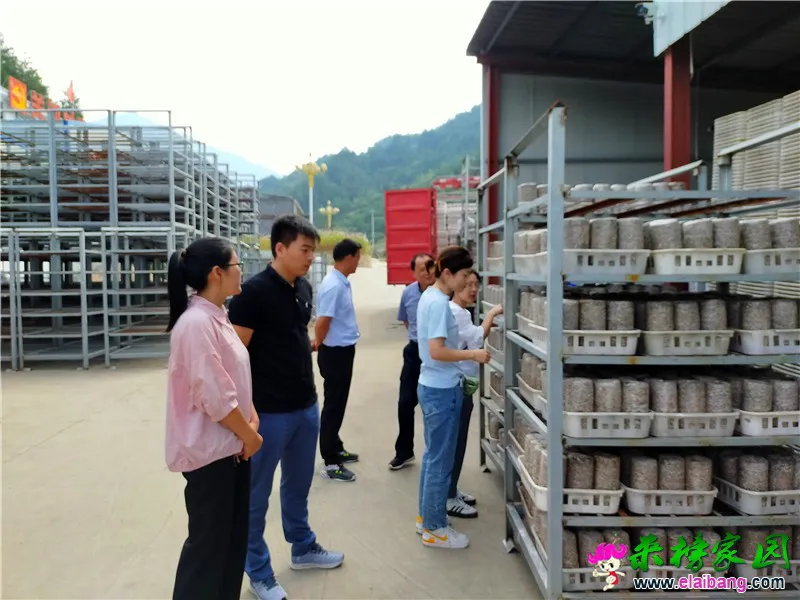 微信图片_20200909211508.webp