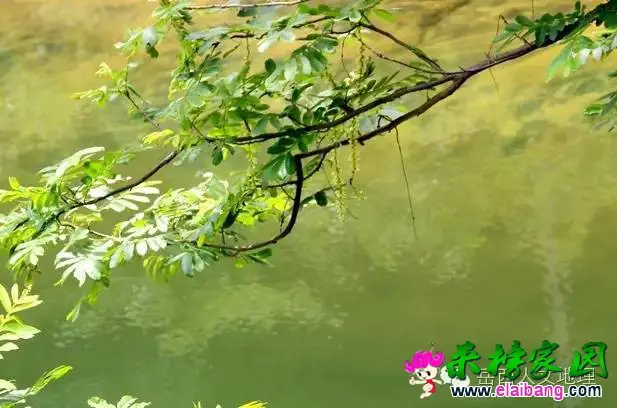 8193f8510a39183837ab5bb5481033d9.webp