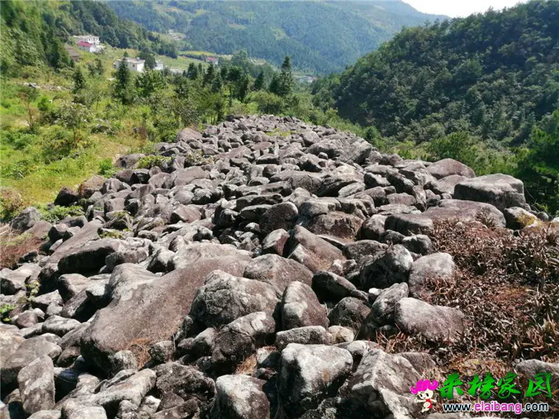 微信图片_20200910202901.webp