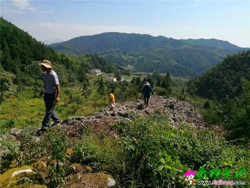 微信图片_20200910202906.webp