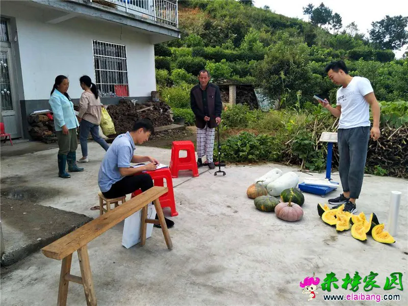 微信图片_20200911153004.webp