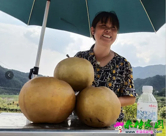 QQ截图20200912211358.webp