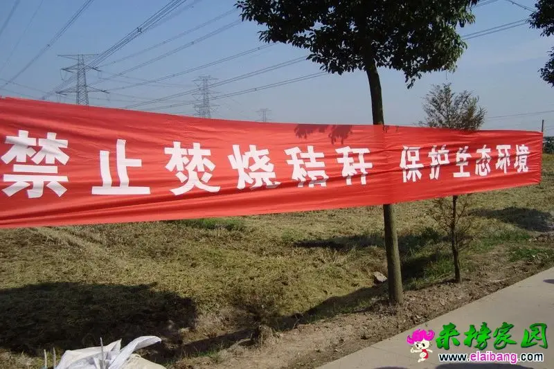 73ef04d88ea4396c484a6cb00c080bd7.webp