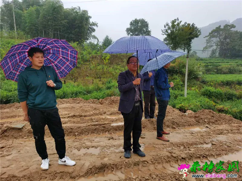 微信图片_20200921204959.webp