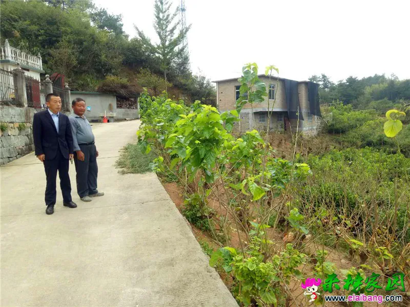 微信图片_20200925215129.webp