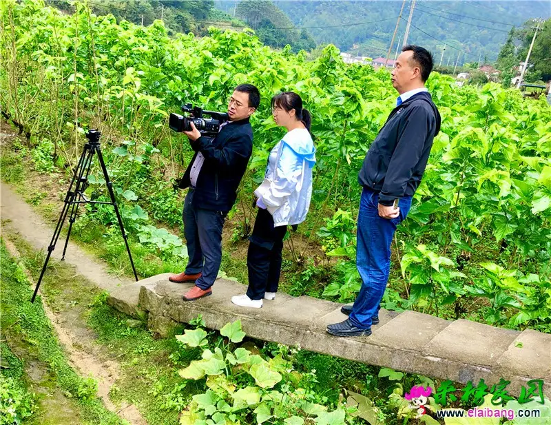 微信图片_20200929224814.webp
