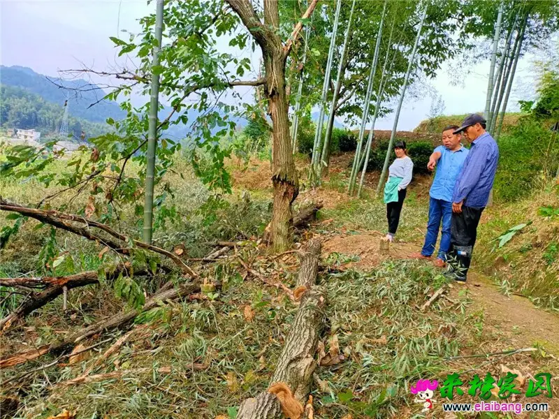 微信图片_20200929224801.webp