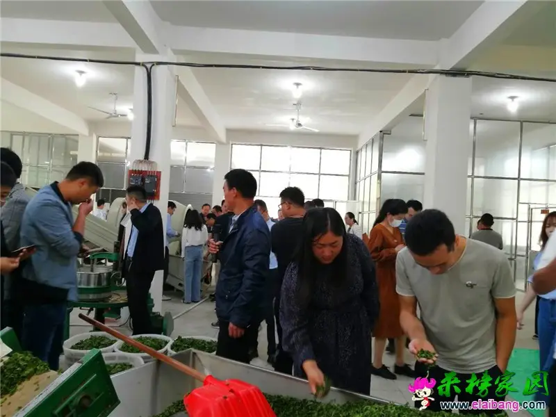 微信图片_20200929224809.webp