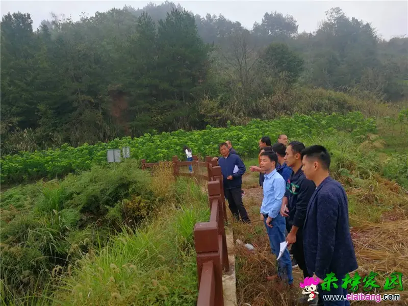 微信图片_20200929224805.webp