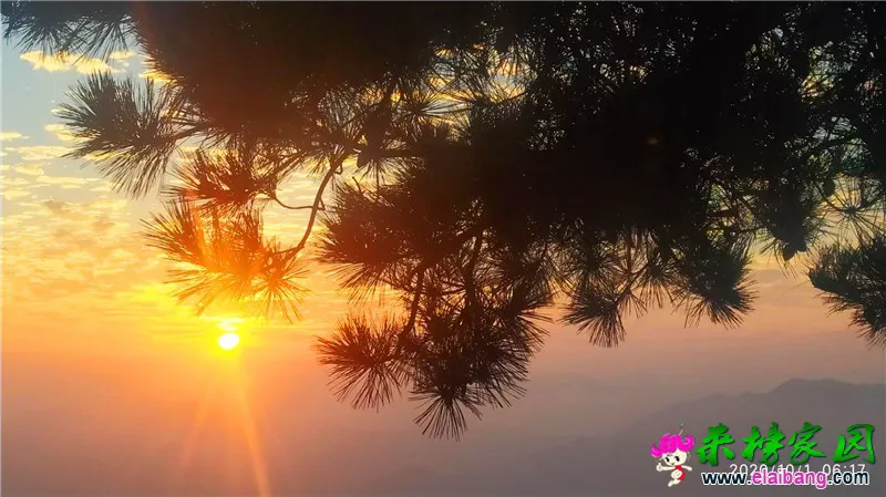 微信图片_20201001202931.webp