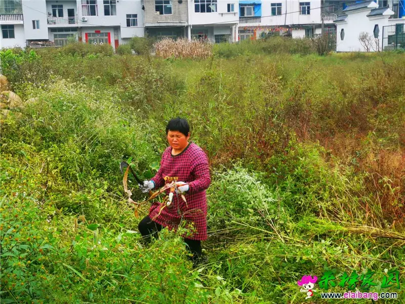 微信图片_20201007165813.webp