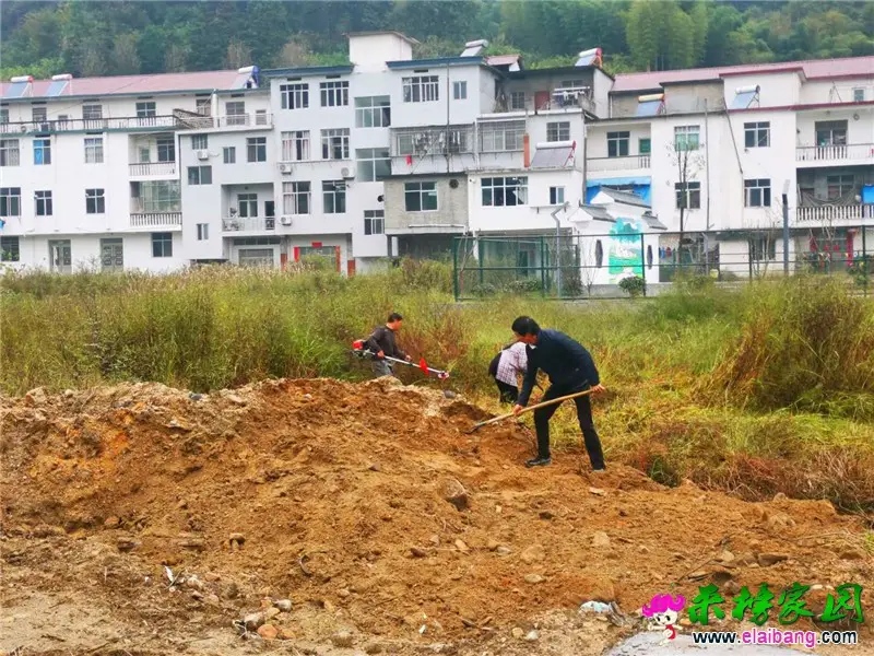 微信图片_20201007165804.webp