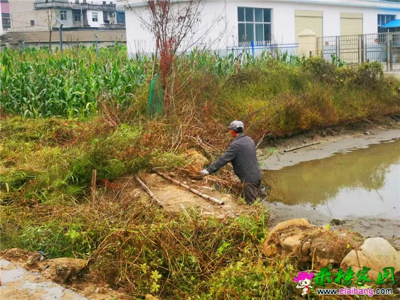 微信图片_20201007165811.webp