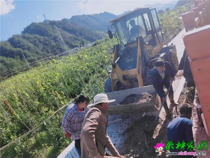 微信图片_20201008172133.webp