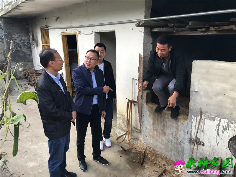微信图片_20201010191526.webp