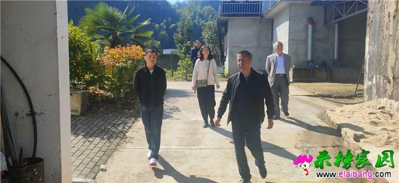 微信图片_20201010191503.webp