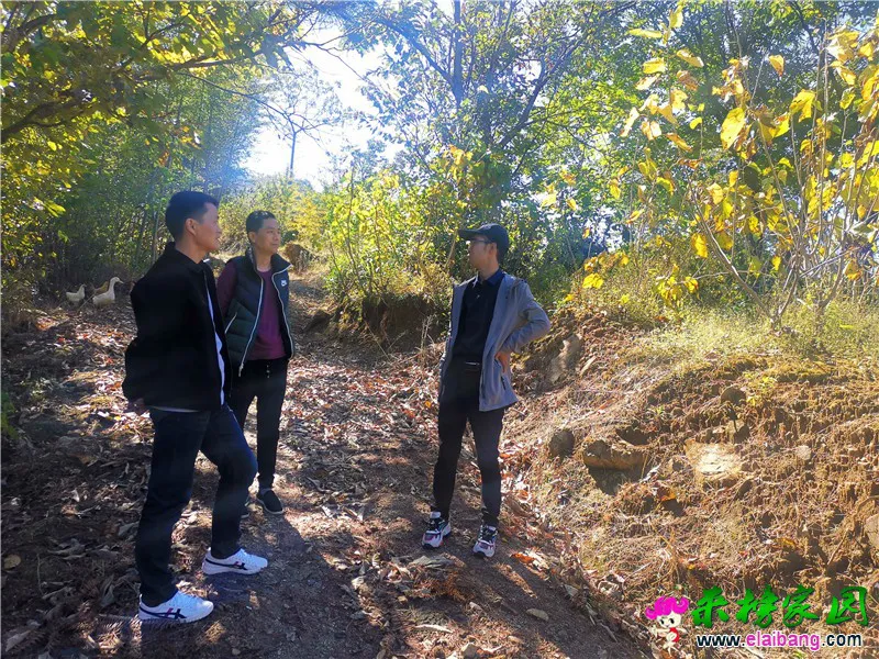 微信图片_20201011165339.webp