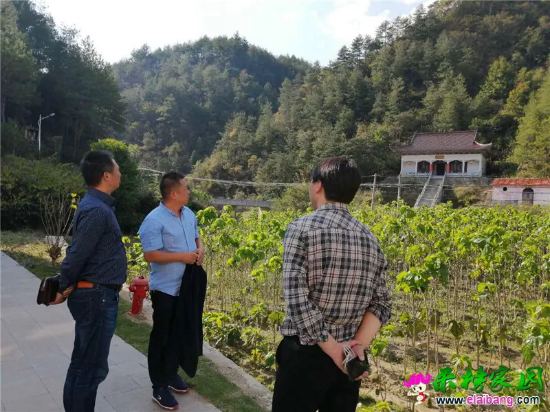 微信图片_20201013200223.webp