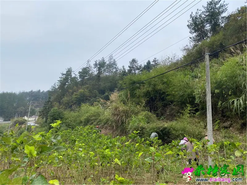 微信图片_20201014163733.webp