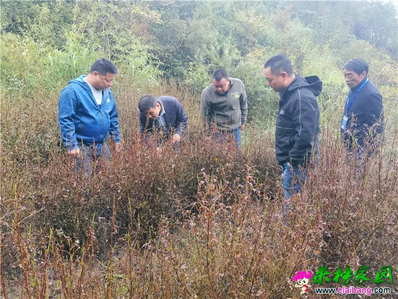 微信图片_20201015201419.webp