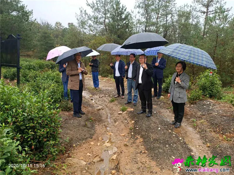 微信图片_20201015201424.webp