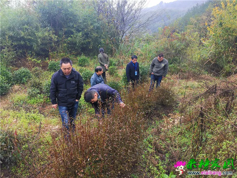 微信图片_20201015201422.webp